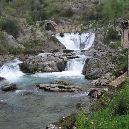 Immersi Nella Natura